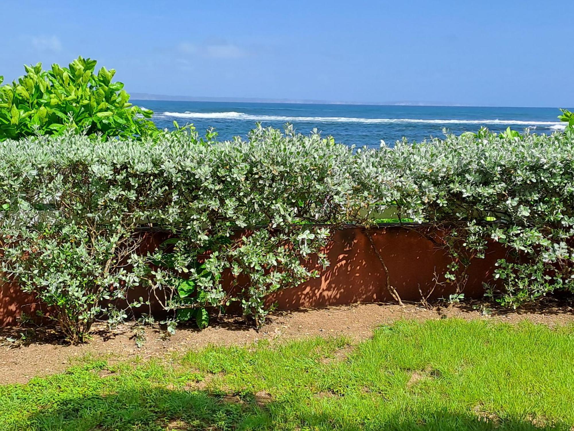 Rdc Appartement En Bord De Mer Au Son Des Vagues Le Moule Zewnętrze zdjęcie